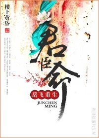 君臣命(岳飛重生)