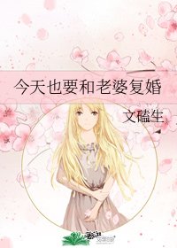 今天也要和老婆复婚